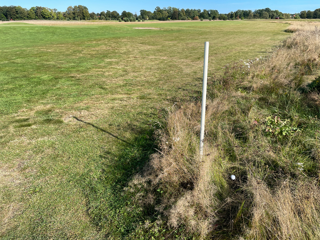 SotaPar - La regla 18_ El secreto para evitar penalizaciones en el campo de golf