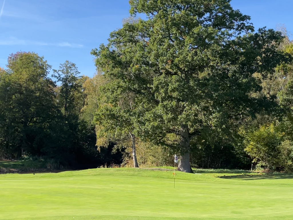 SotaPar - El método META. La estrategia definitiva para bajar de hándicap de golf